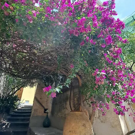 La Casa Della Bouganvillea - Affitti Brevi Italia