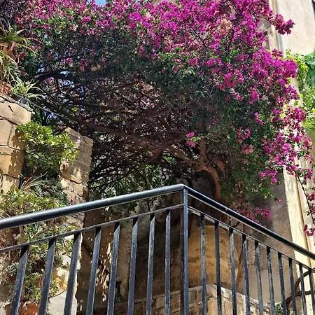 La Casa Della Bouganvillea - Affitti Brevi Italia